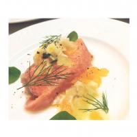 ◇出張シェフの料理◇ サーモンのミキュイ 柑橘とディルを添えて