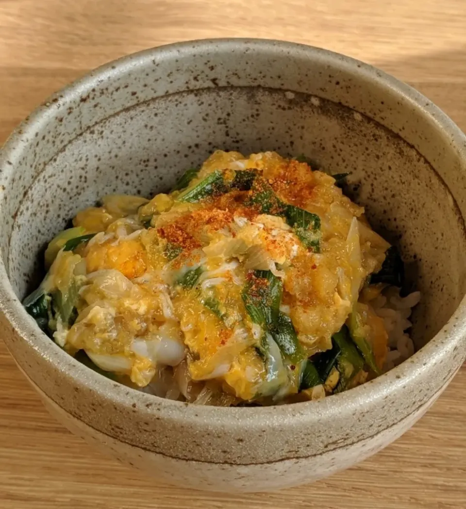 天かすでコクうま！ジャンクなネギ玉丼|ぼんさん