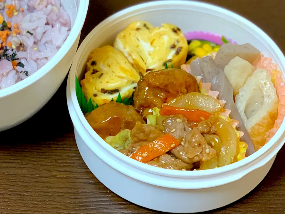 🌸 豚肉のごま味噌炒め弁当 🌸|たんちゃんさん