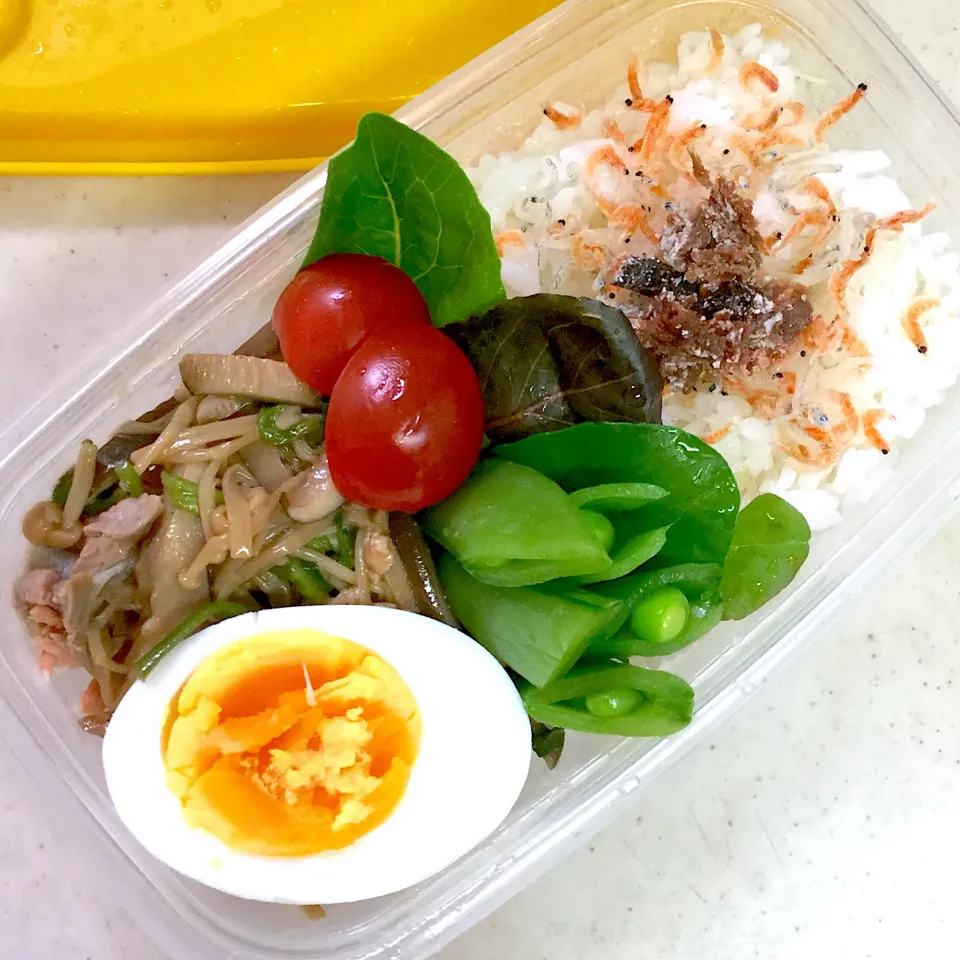 Today's lunch box|hoppycowさん