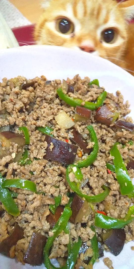 麻婆茄子🍆ひき肉たっぷり🐾|さくらんぼさん