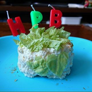 犬用お誕生日ケーキのレシピと料理アイディア21件 Snapdish スナップディッシュ