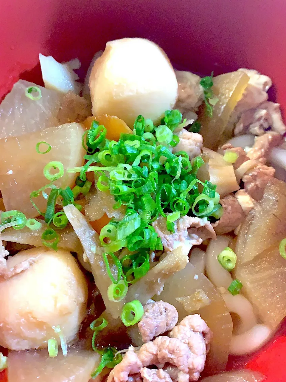 Snapdishの料理写真:やっぱり寒い日はけんちんうどん|つるさん