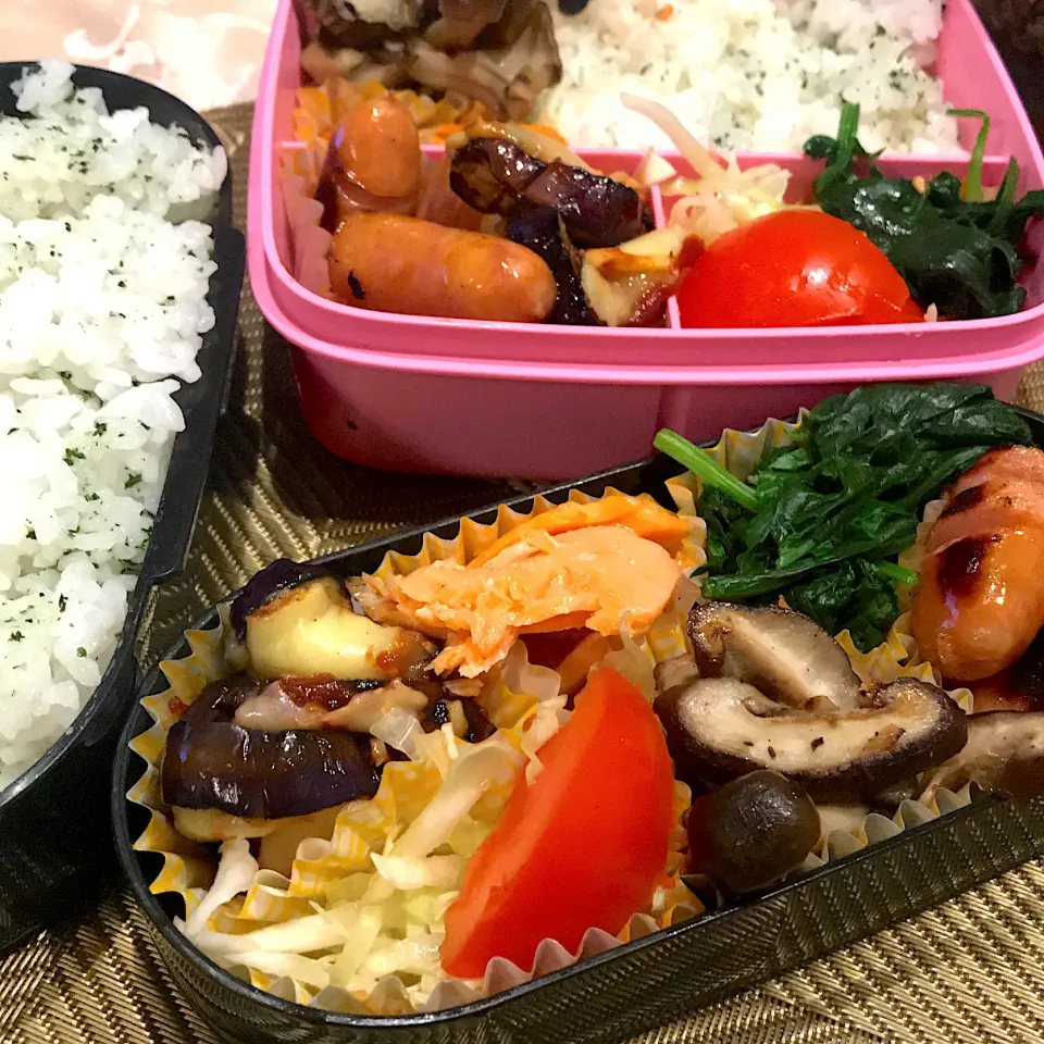 今日のお弁当🍱|mokoさん