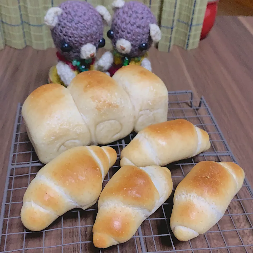 ミニ食パンとロールパン焼き立て（╹◡╹）|chagashiさん