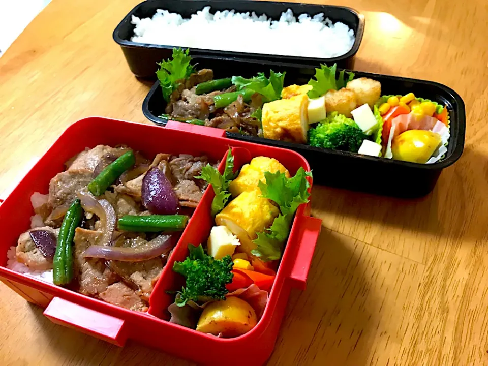 ある日のお弁当|ふぅさん