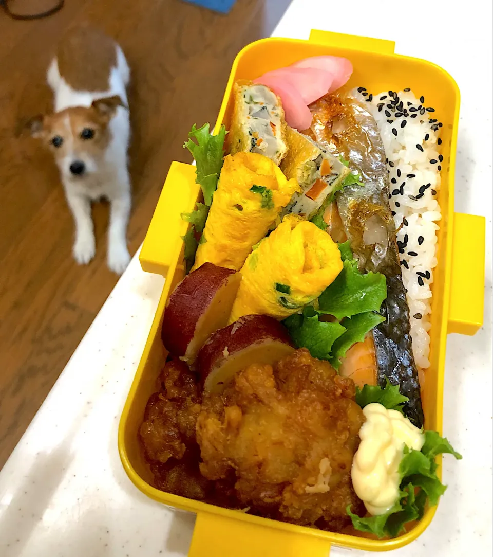 シャケ鳥から弁当|cafe3733さん