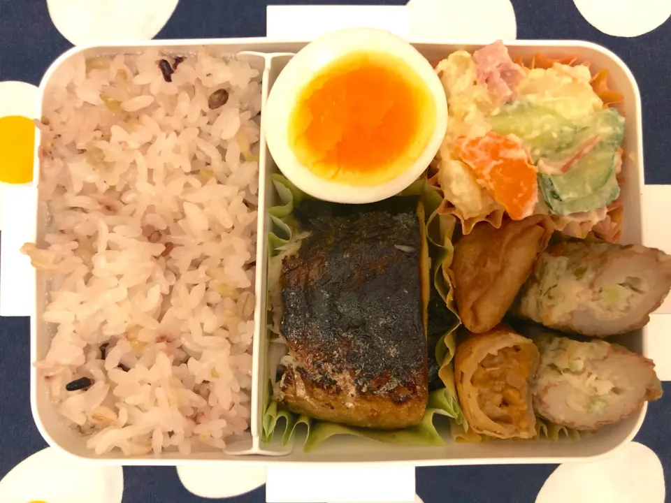 Snapdishの料理写真:塩鯖弁当|freeさん