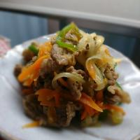 牛丼‼️の具(笑)