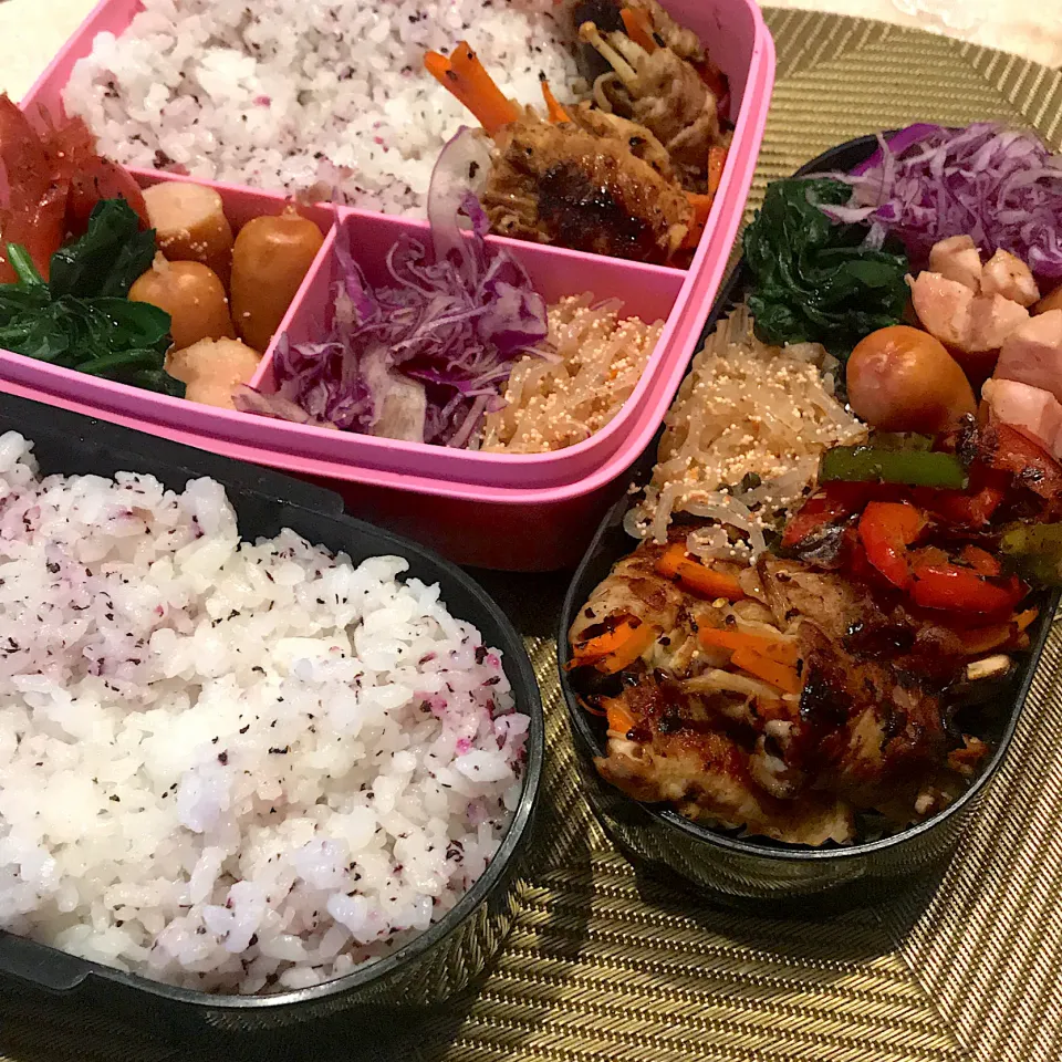 今日のお弁当🍱|mokoさん