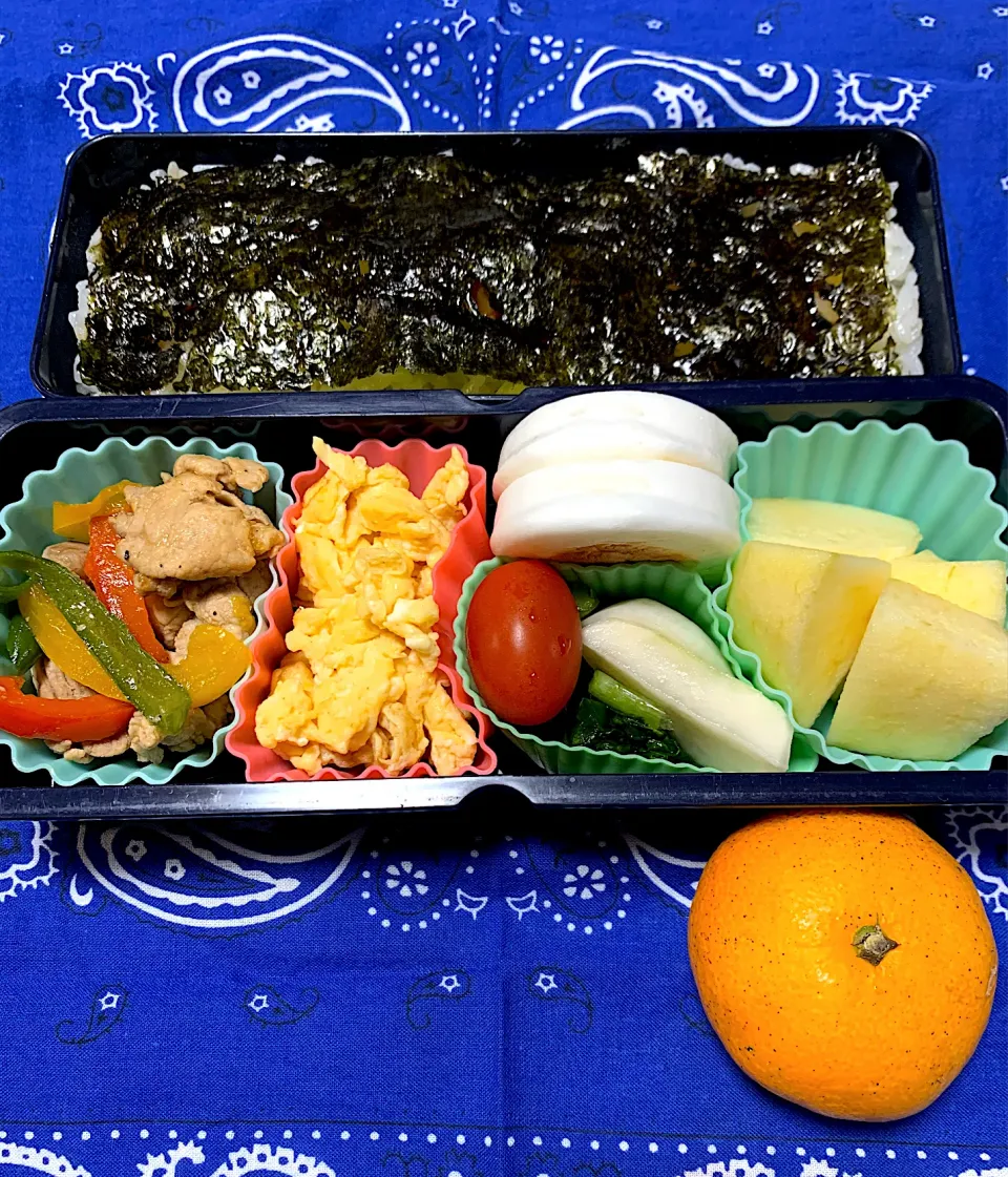 息子のお弁当12/13|iguigupopさん