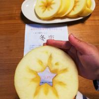 はるか冬恋
蜜たっぷりのりんご🍏