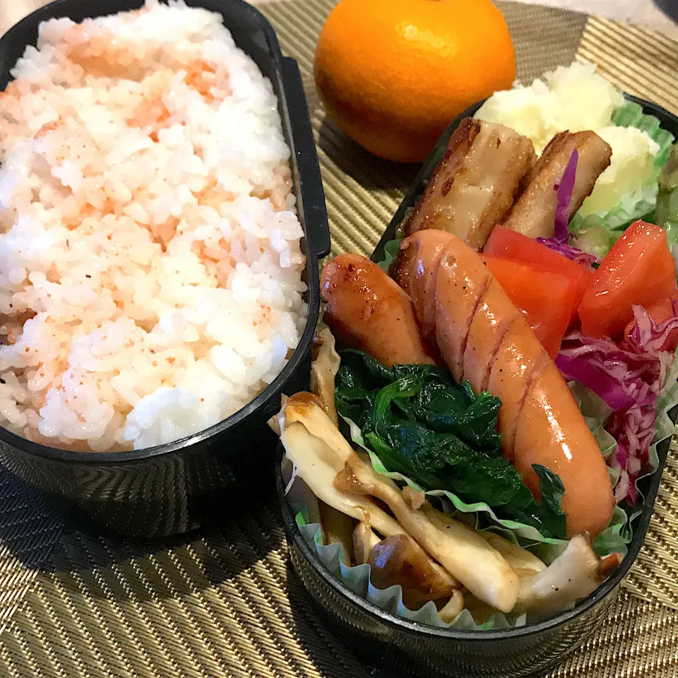 今日のお弁当🍱|mokoさん