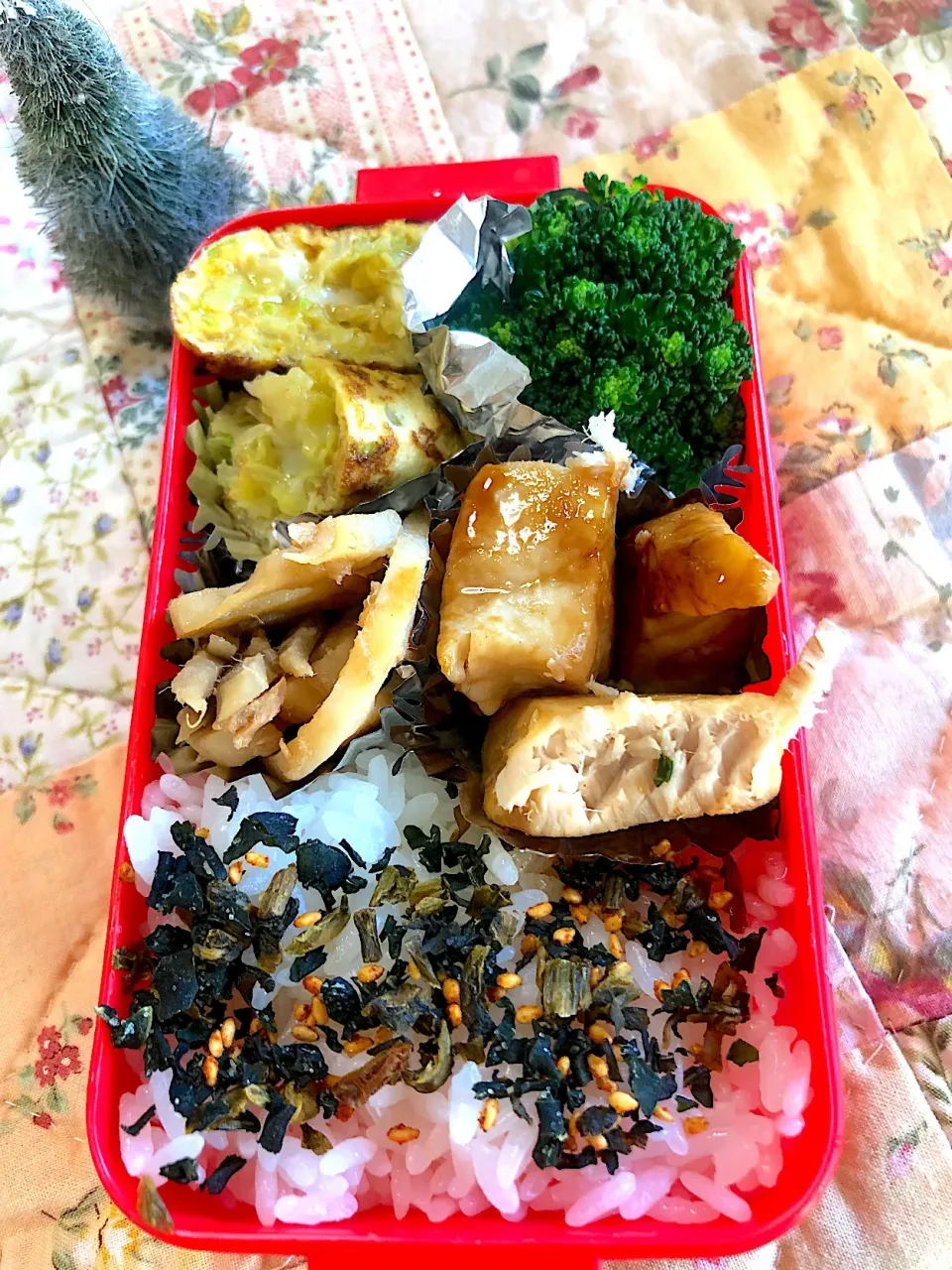 マンダイ照り焼き　キャベツオムレツ　根菜のきんぴら　ブロッコリー🥦 弁当。|Kumiko Kimuraさん