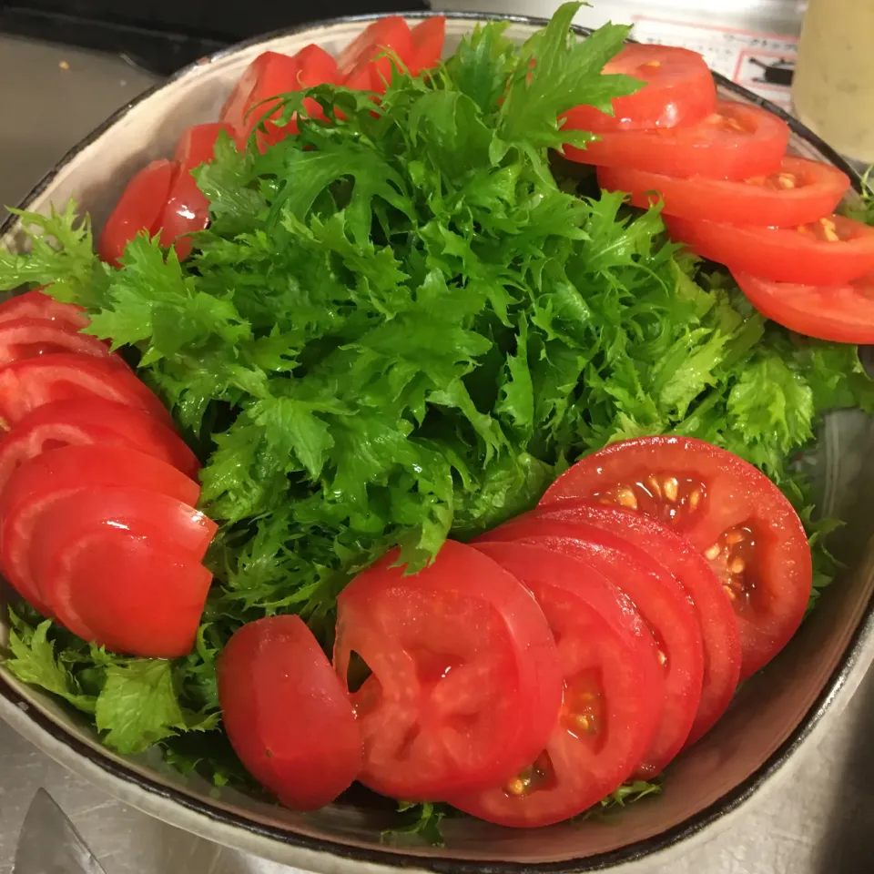 夕食の一皿|通風じいさんと糖尿ばあさんの食卓さん