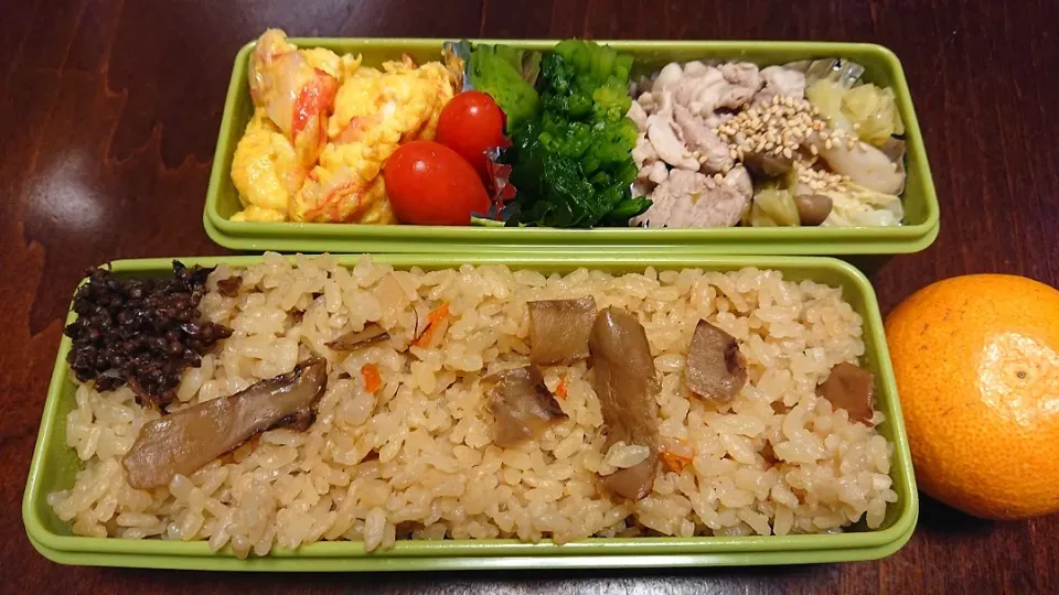 松茸炊き込みご飯と豚とキャベツの柚子炊き弁当|りょーさん