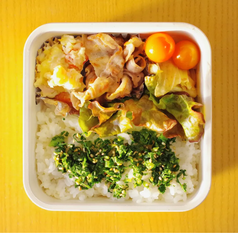 Snapdishの料理写真:今日のお弁当😋　ポテサラ　豚肉焼き　キャベツとツナ炒め　大根の葉ご飯　ミニトマト　レタス|walnutさん