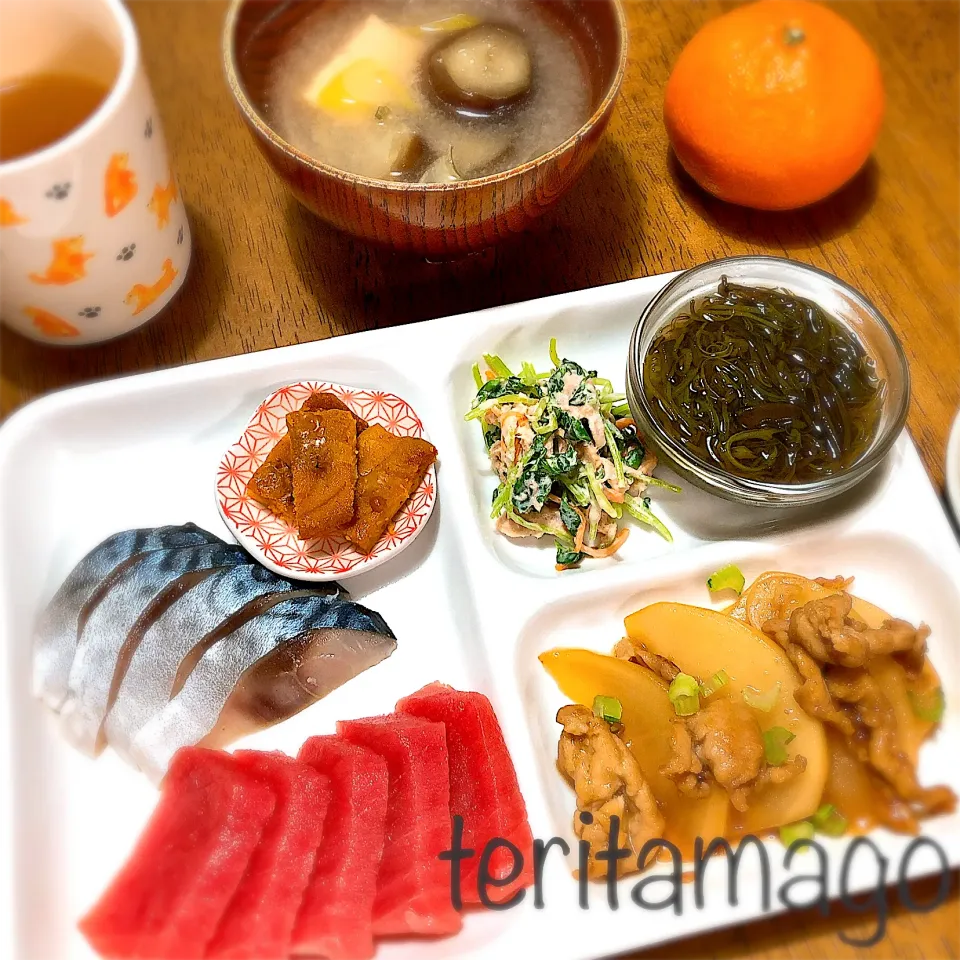 鮪の刺身・しめ鯖|teritamagoさん