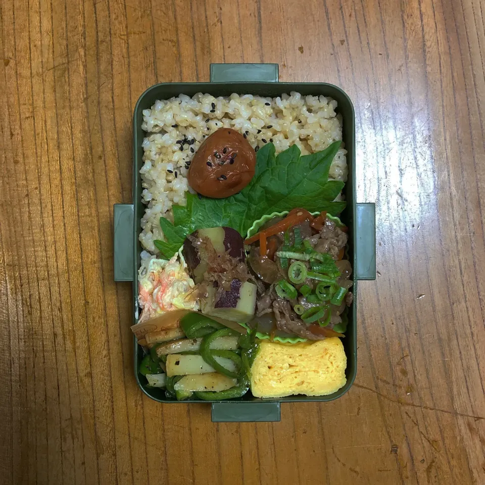 Snapdishの料理写真:お弁当|はーさん