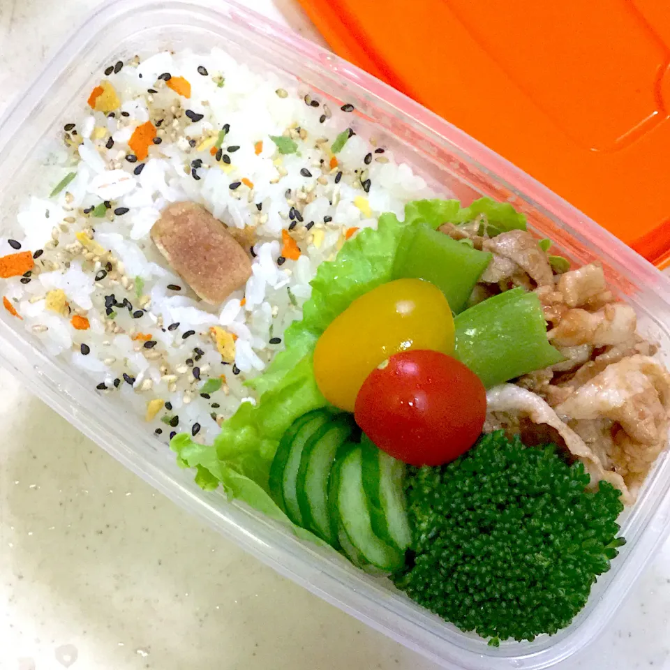 Today's lunch box|hoppycowさん