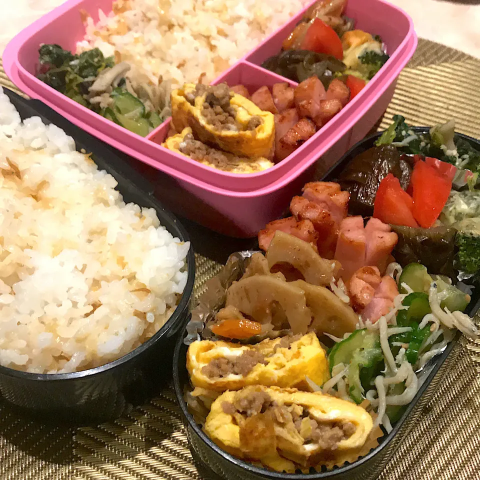 Snapdishの料理写真:今日のお弁当🍱|mokoさん