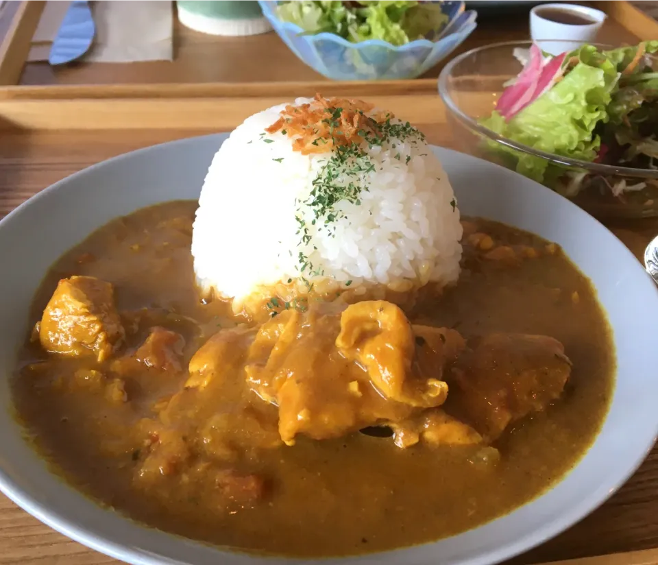 昼ごはん☀️☀️☀️                                              スパイスカレーଘ(੭ˊ꒳​ˋ)੭✧断酒250日目|ぽんたさん