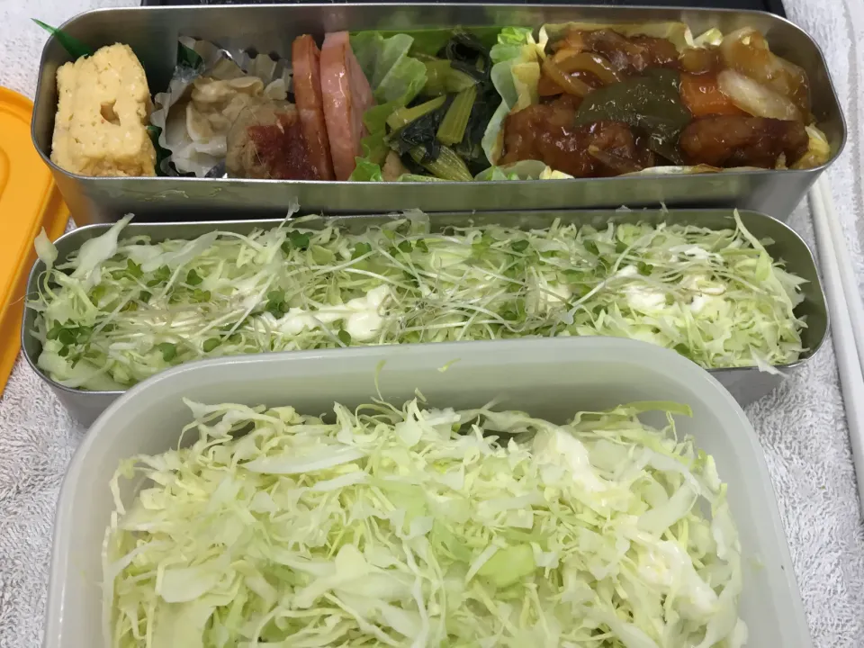 Snapdishの料理写真:糖質制限のお弁当|ari526msxさん