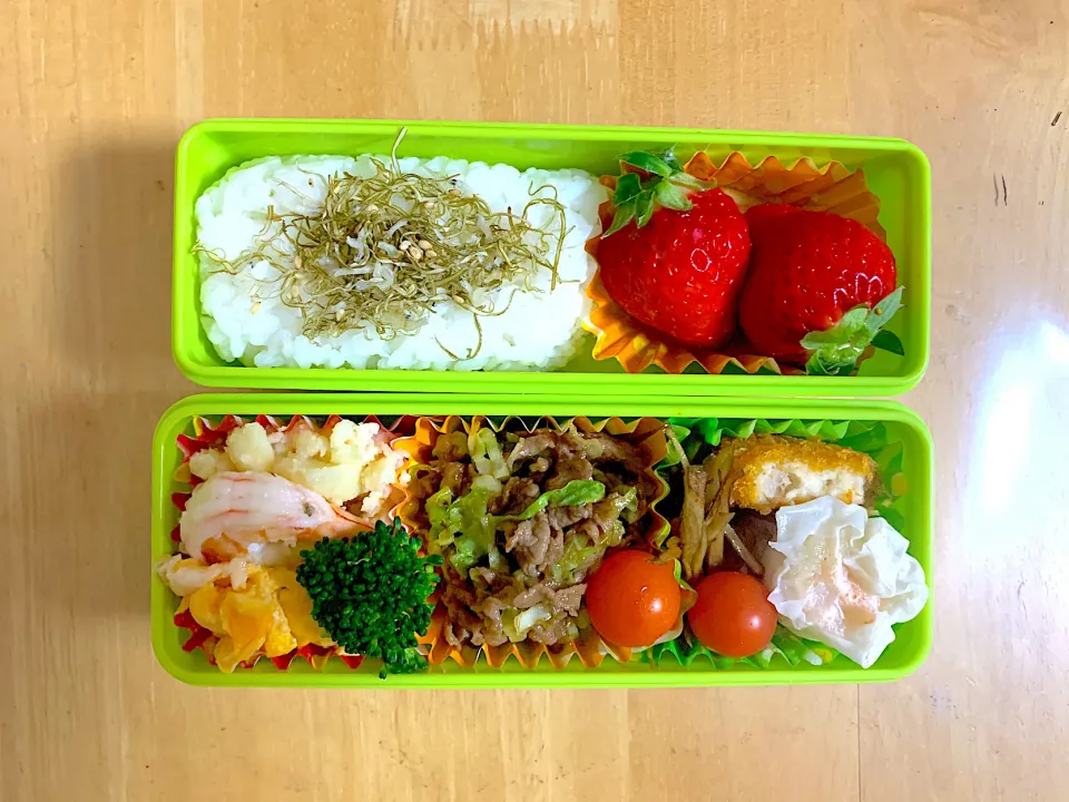 2019.12.19 お弁当|のりこ先生さん