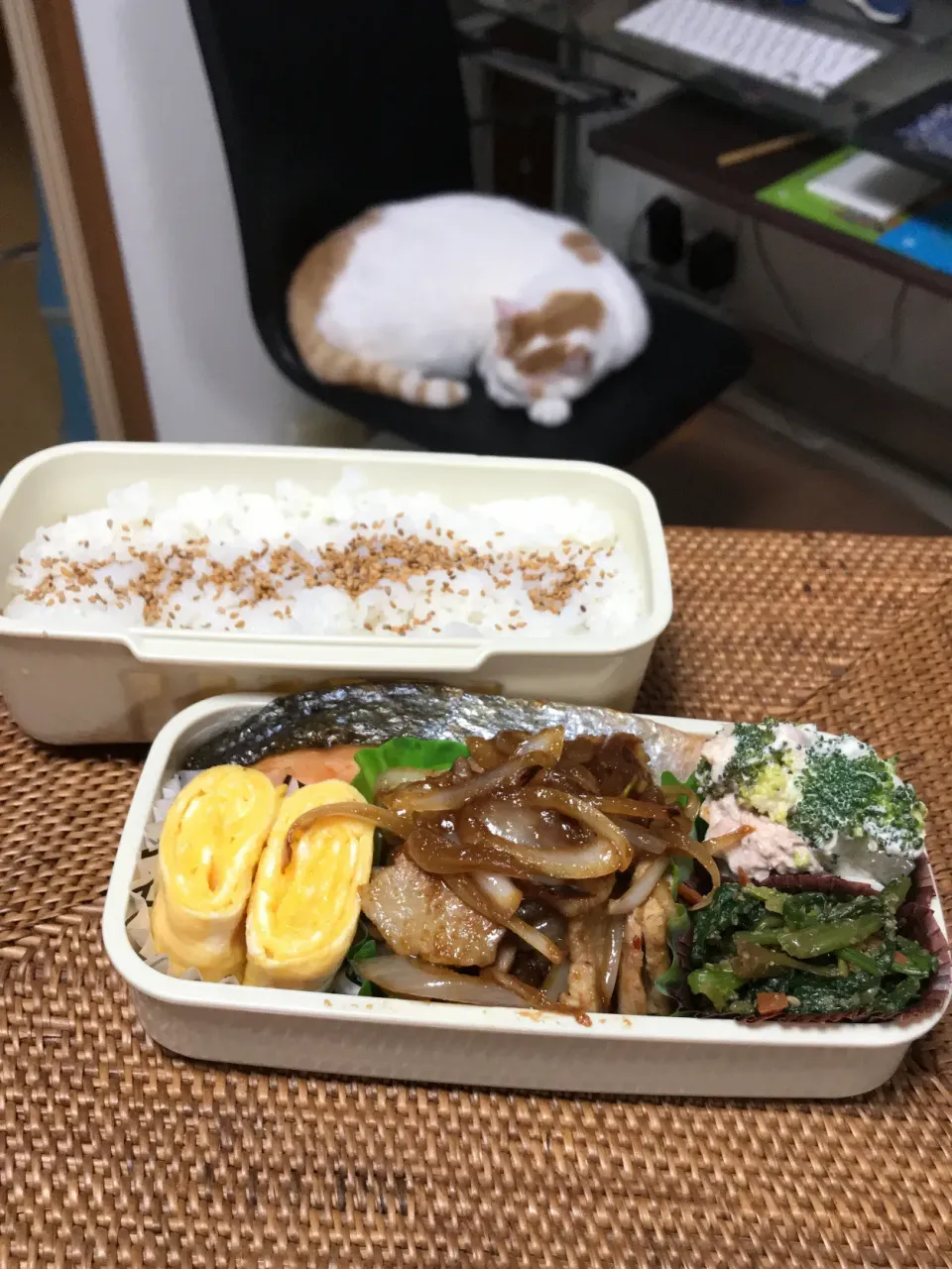 おじさん弁当　☆ Dec.20.2019 ☆|ニャン太郎さん