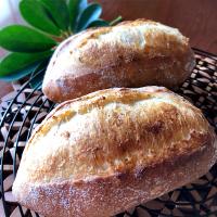 クッペ　胚芽入り