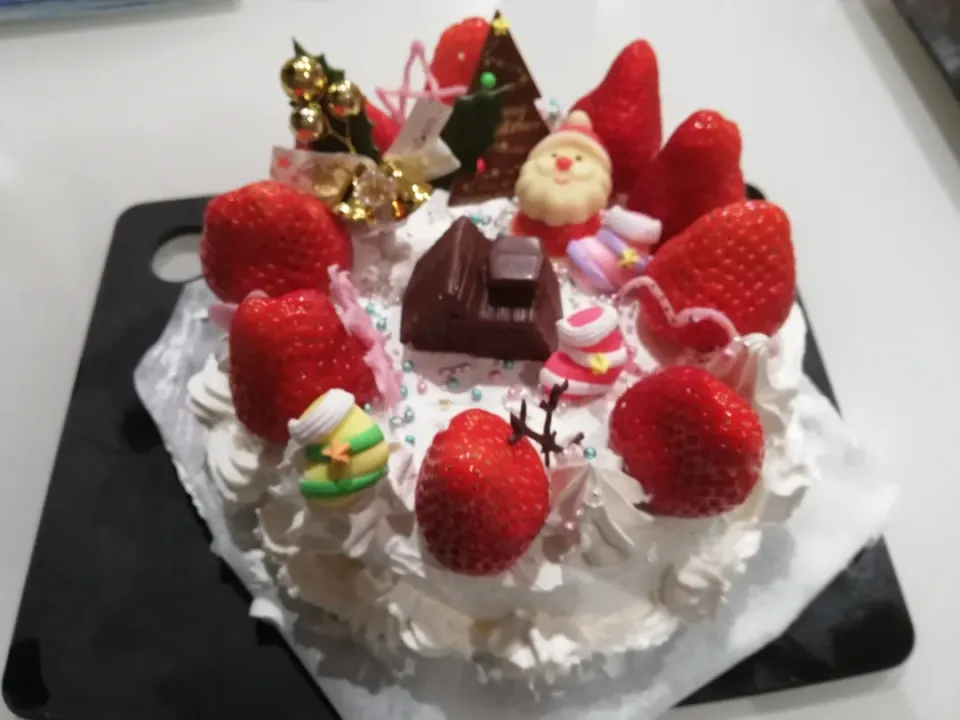 Snapdishの料理写真:子ども達が作った
初めてのクリスマスケーキ😁|ようこさん