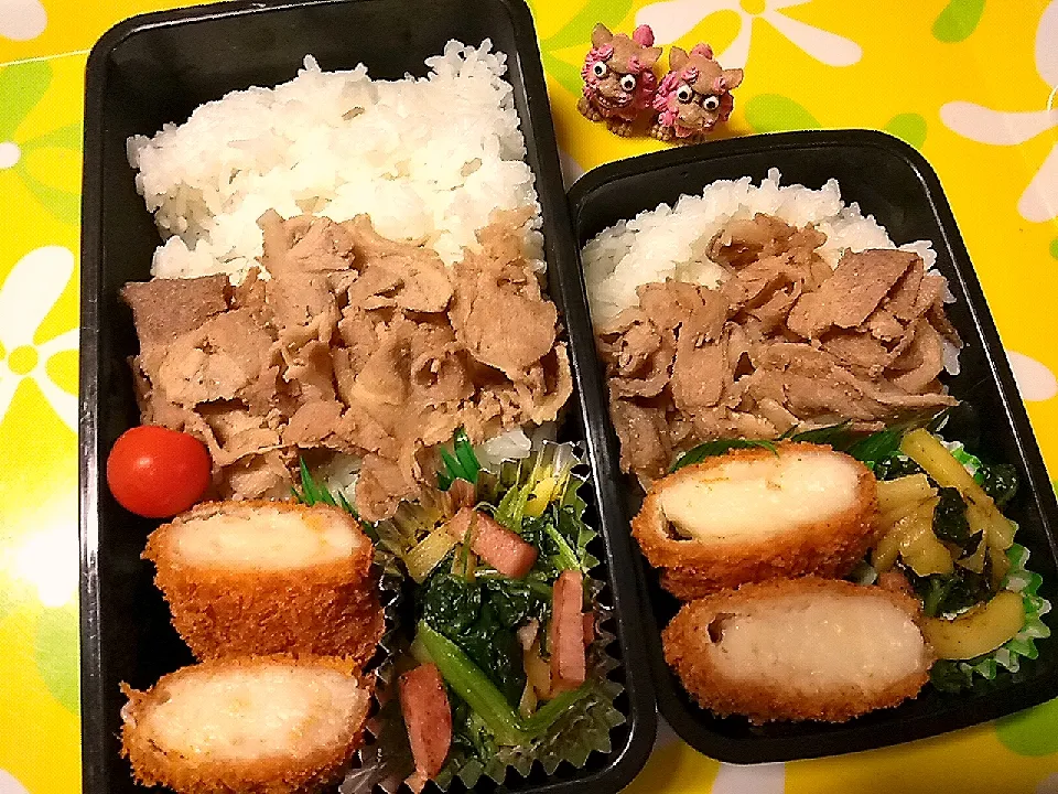 夫の弁当、娘の弁当|みどりさん