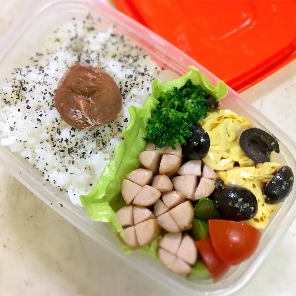 Today's lunch box|hoppycowさん