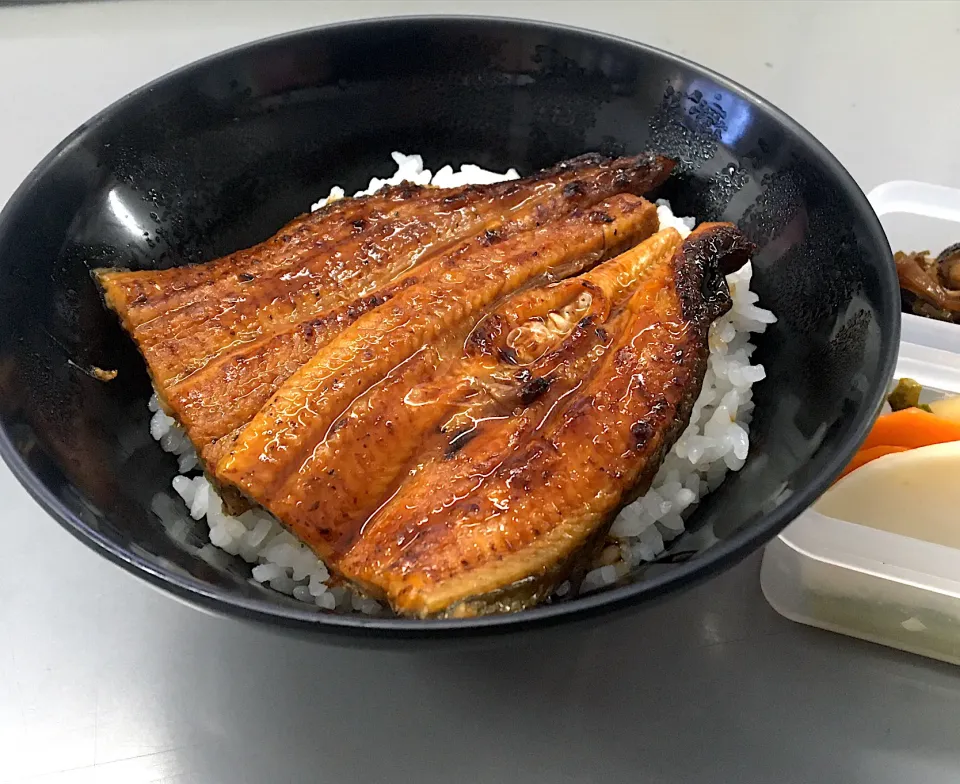 昼ごはん☀️☀️☀️断酒258日目                        国産うなぎもらった～٩( ᐛ )۶|ぽんたさん