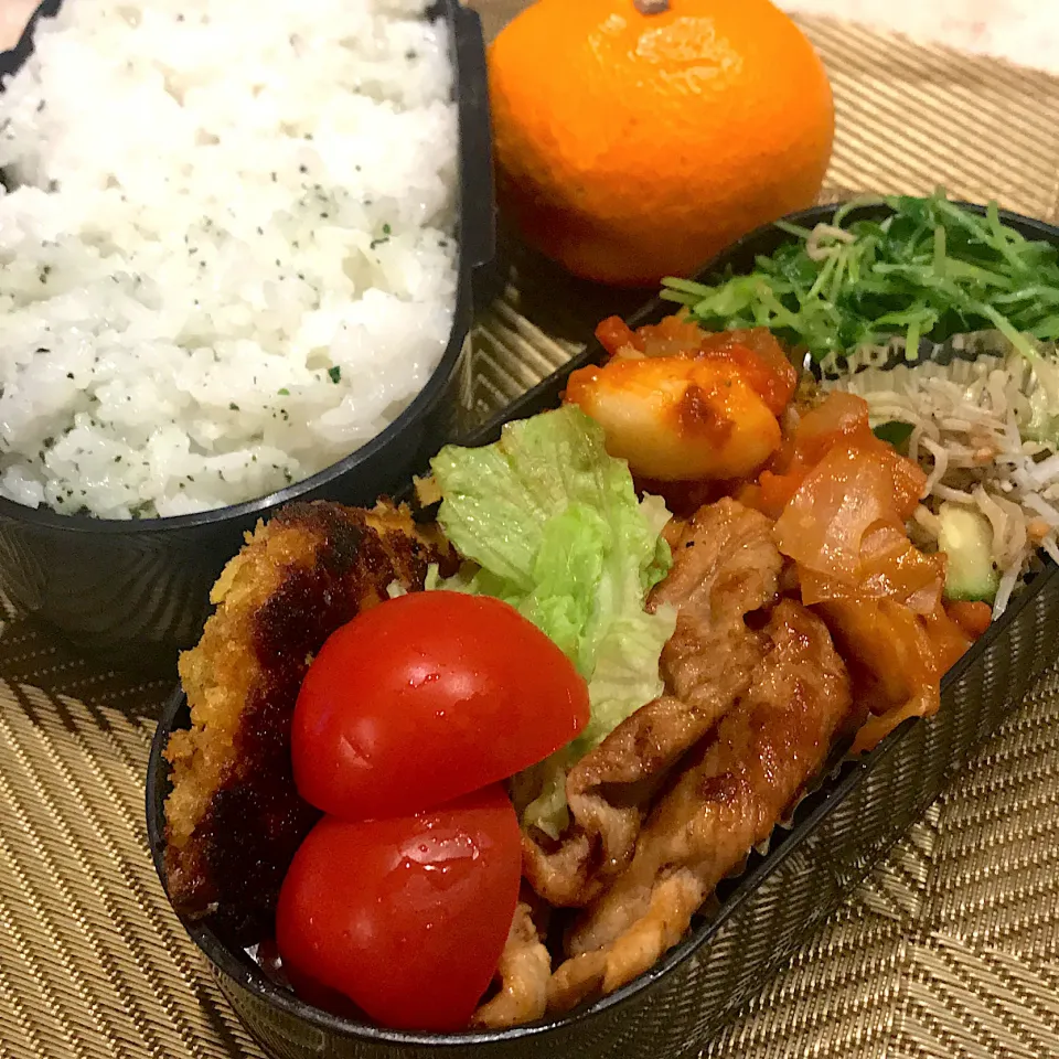 今日のお弁当🍱|mokoさん