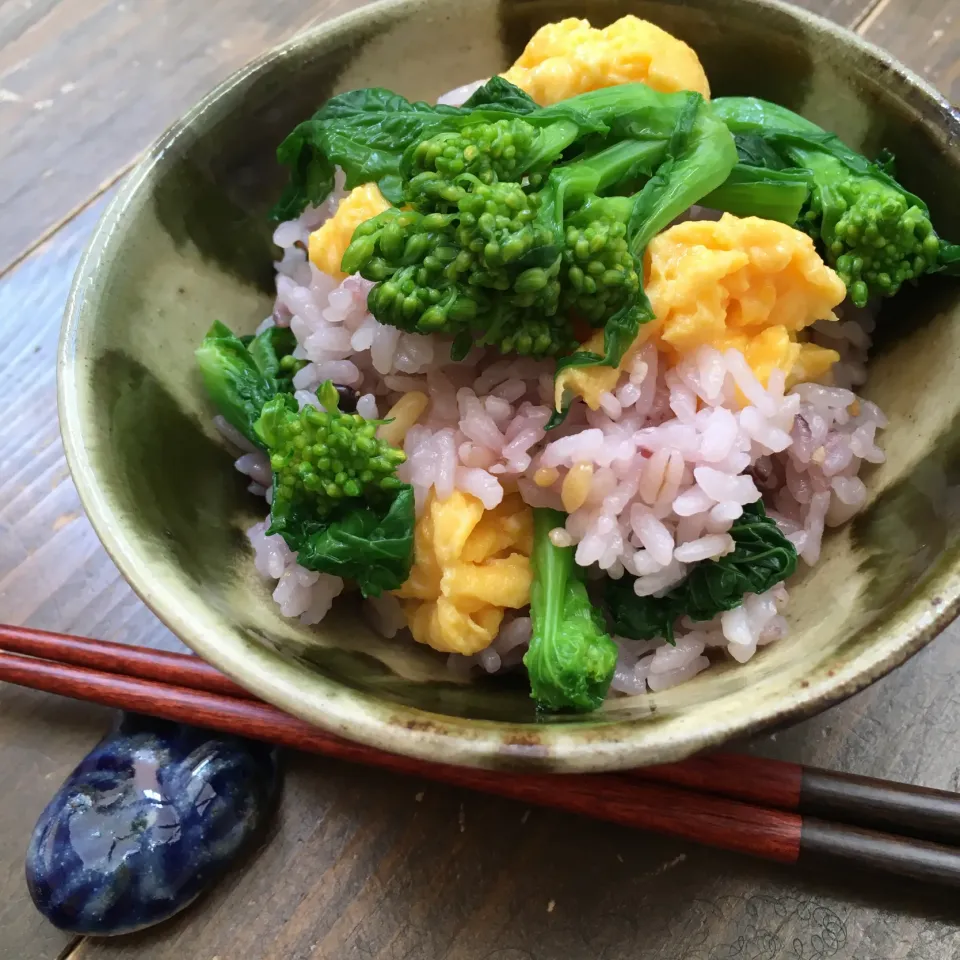 アッチさんの菜の花ごはん🌼シーズン最速🥢|七海さん