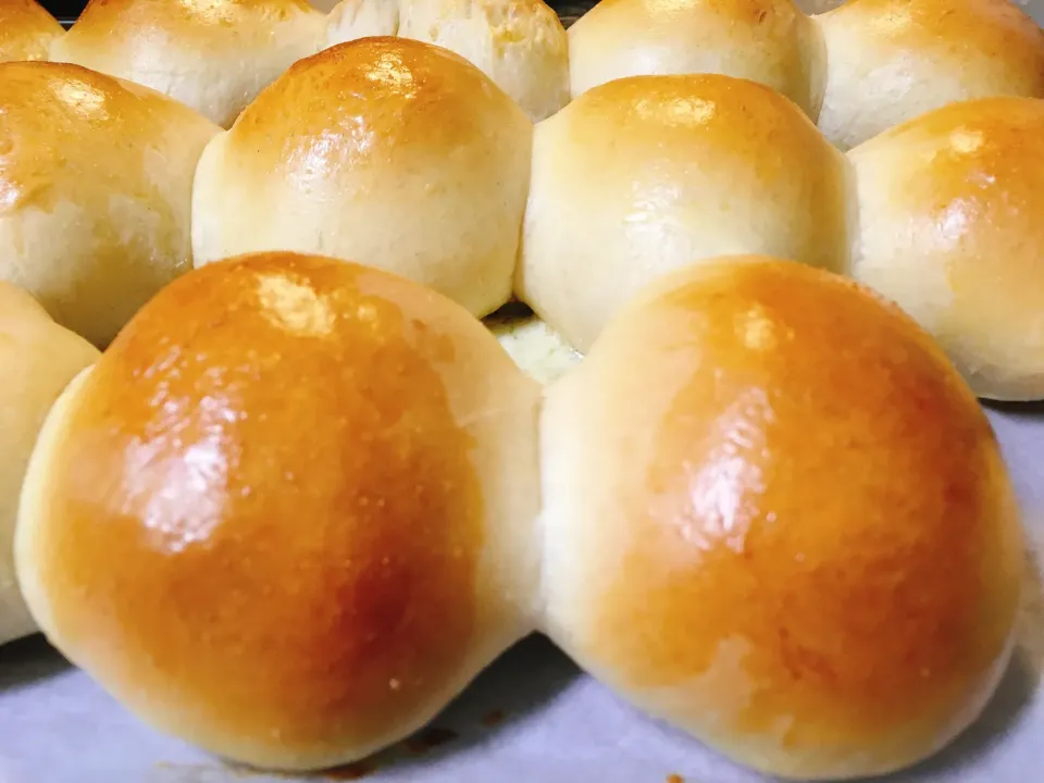 Butter rolls|reigineさん