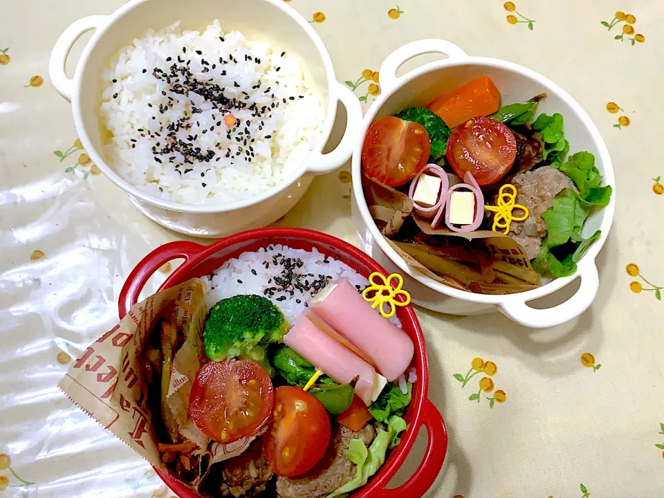 Snapdishの料理写真:12月27日お弁当😊2019年もお疲れ様✨年内最後はハンバーグ弁当！|もぐぷーさん