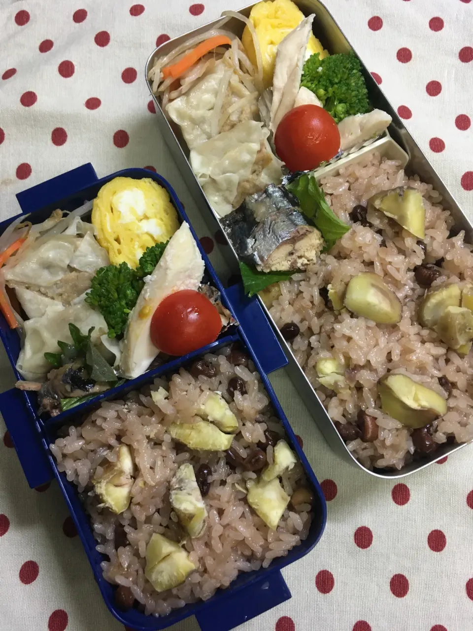 12月27日 仕事納め弁当🍱|sakuramochiさん