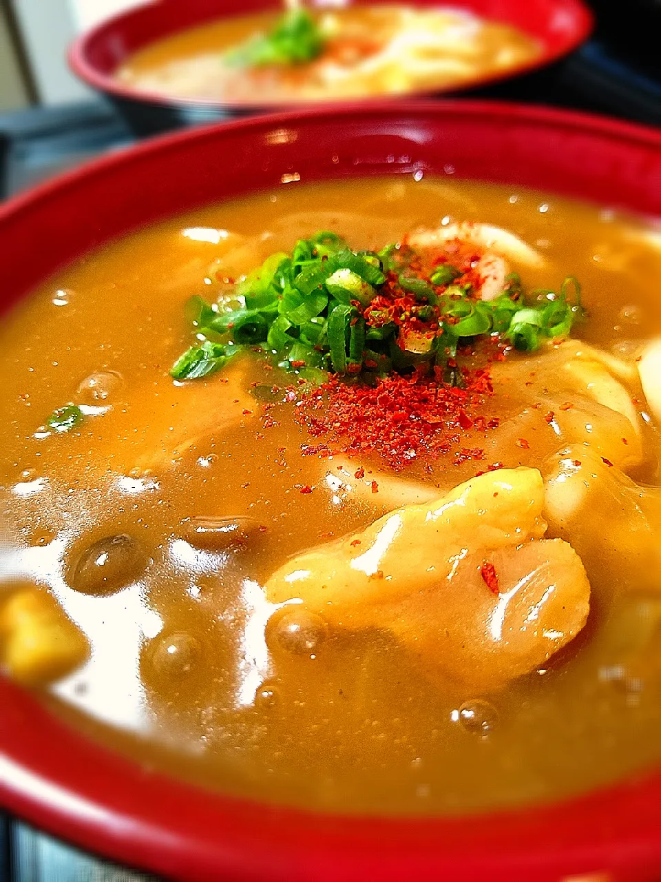 Snapdishの料理写真:追い玉ねぎの塩豚カレーうどん～♪♪|砂糖味屋キッチンさん