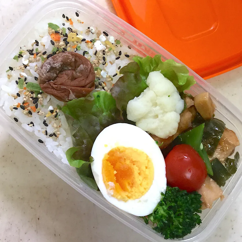 Today's lunch box|hoppycowさん