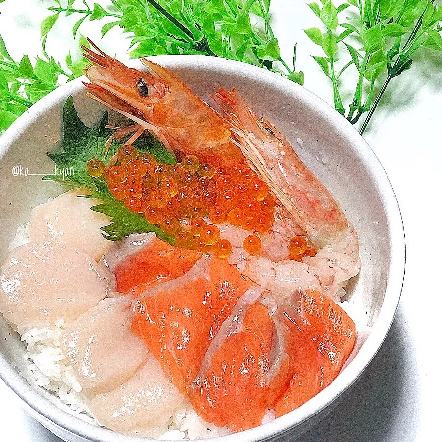 おうちでお得に贅沢海鮮丼🤤|かなこ🌼さん