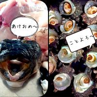 あけましておめでとうございます🎍