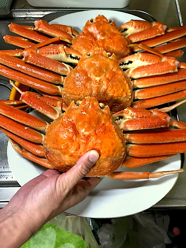 Snapdishの料理写真:松葉ガニ🦀|すかラインさん