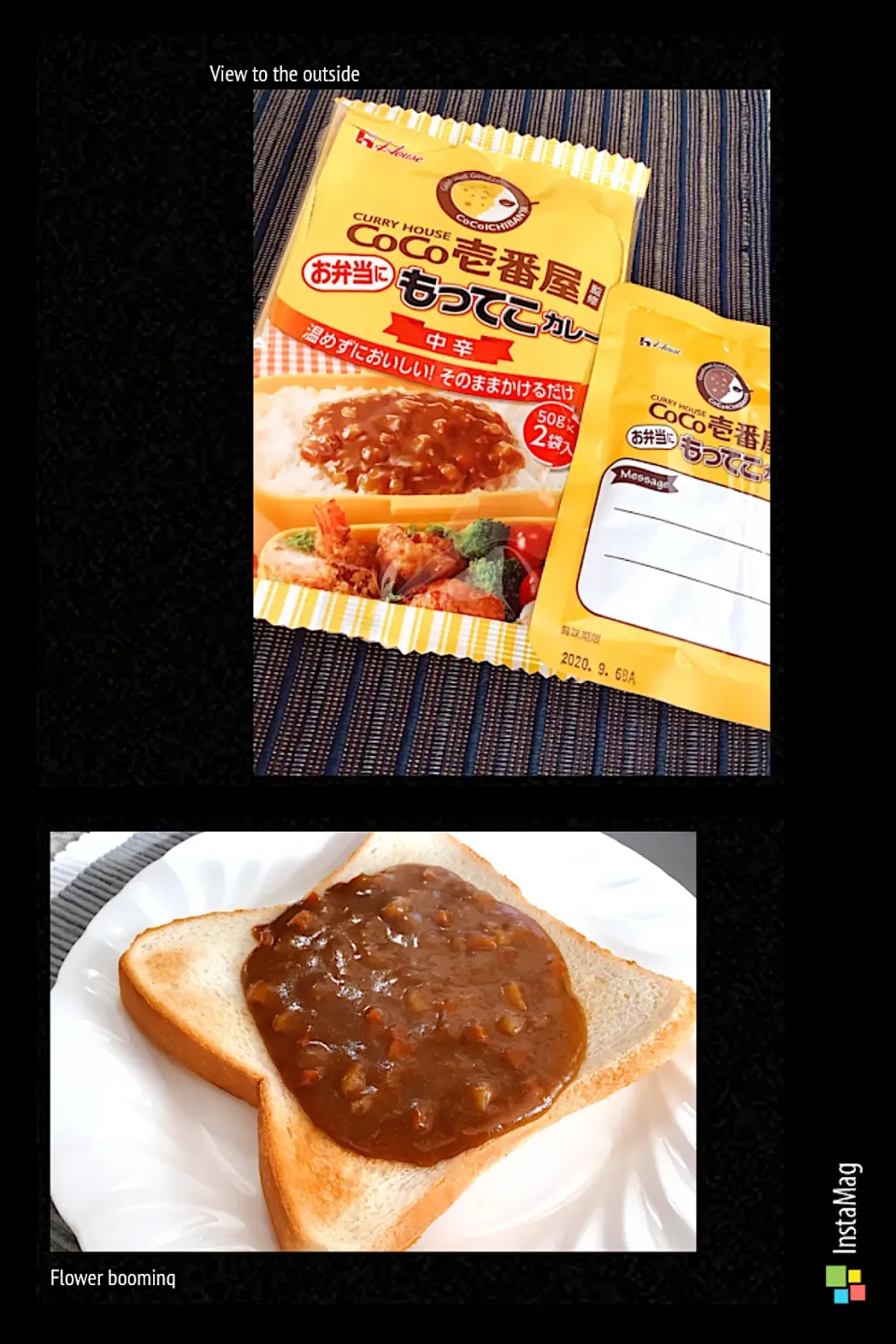 お節も良いけどカレー🍛もね😋|アライさんさん