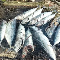 ikan bakar|Alle Manuhutu IIさん