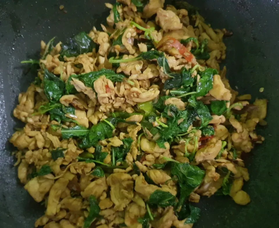 stir fry chicken with basil leaves|patcookingfeverパットさん