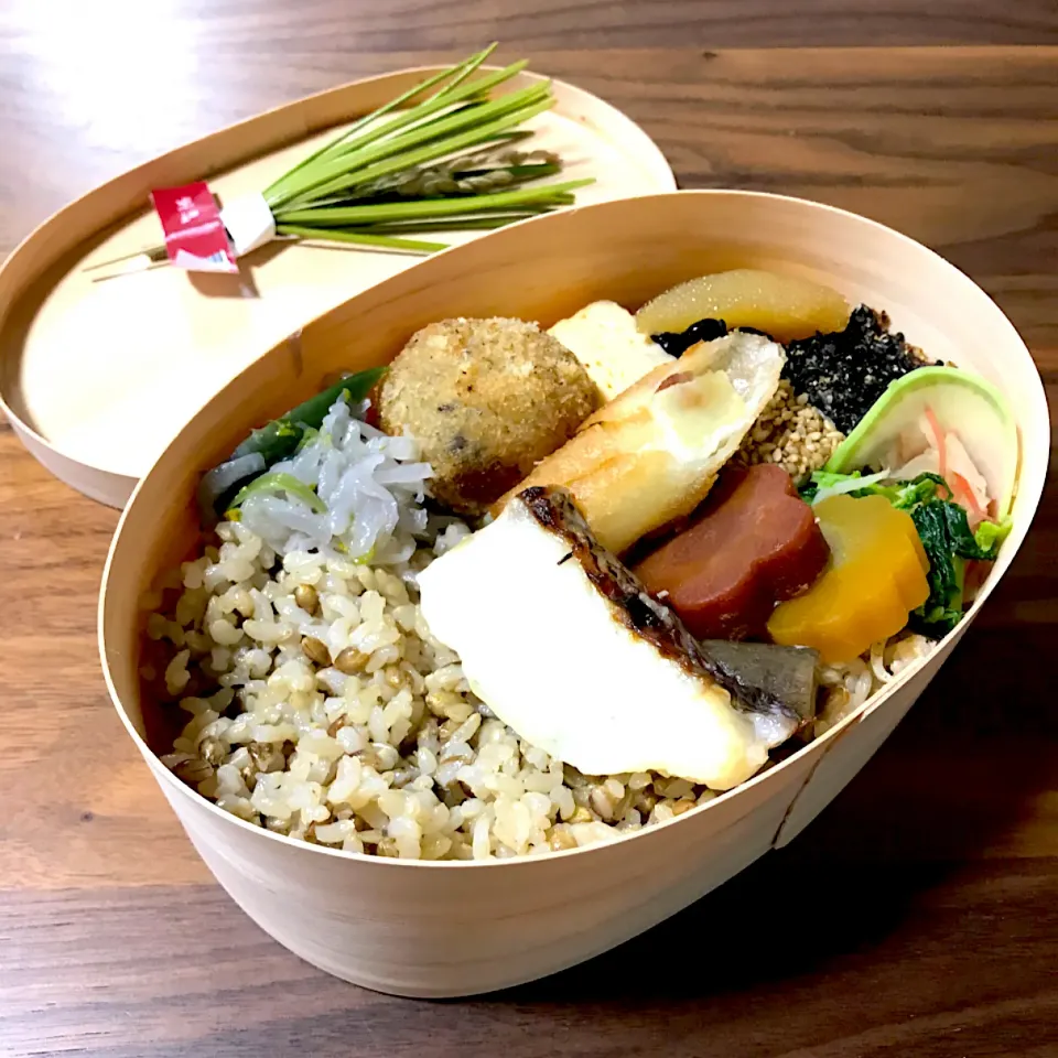 Snapdishの料理写真:詰め込みワッパ弁当🎍|ロック♪さん