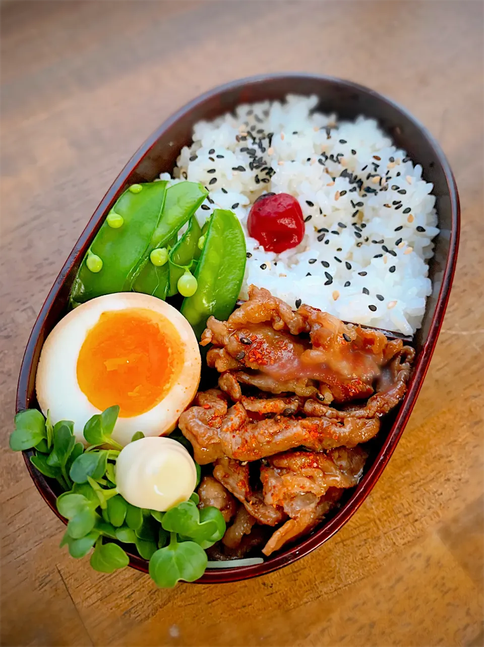 今日のお弁当|akiさん