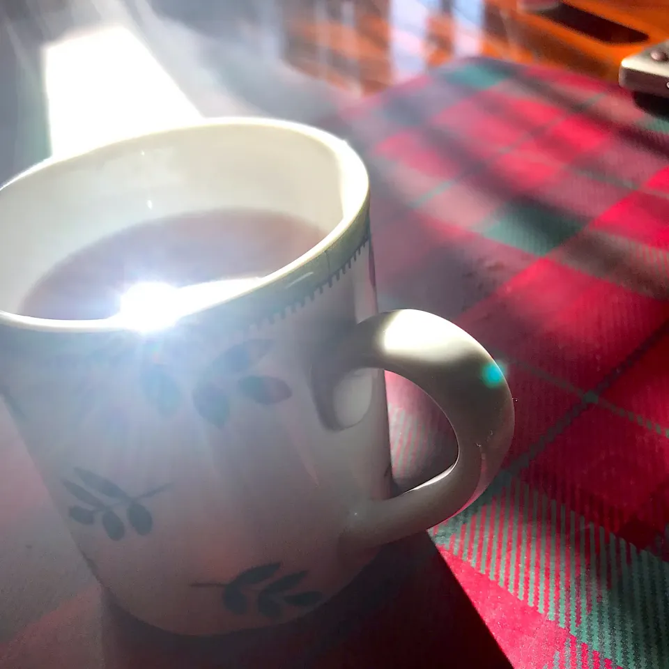 太陽の陽射しがたっぷりとダイヤモンドコーヒー|シュトママさん